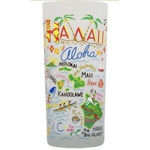 Hawaii Aloha Frosted Pint Glass CatStudio 2015 Hawaiian Islands Travel Souvenir